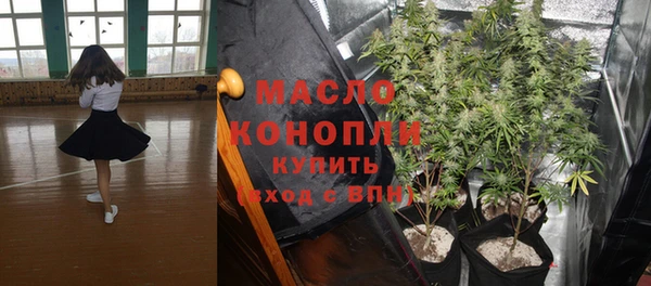 2c-b Бородино