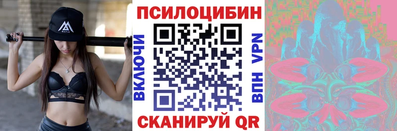 Галлюциногенные грибы Psilocybine cubensis  kraken зеркало  Бородино 